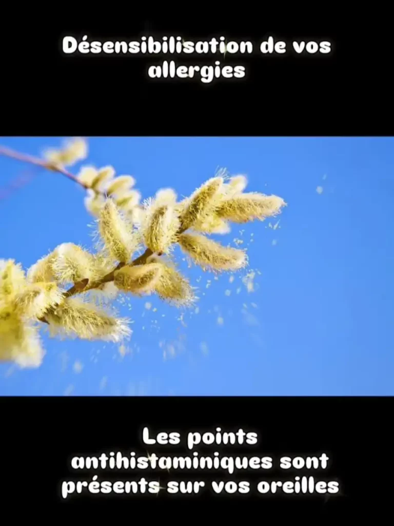 reflexologie auriculaire ajaccio stop tabac sevrage soulagement douleur stress anxiete sante traitement laser reflexologue auriculotherapie allergies 02